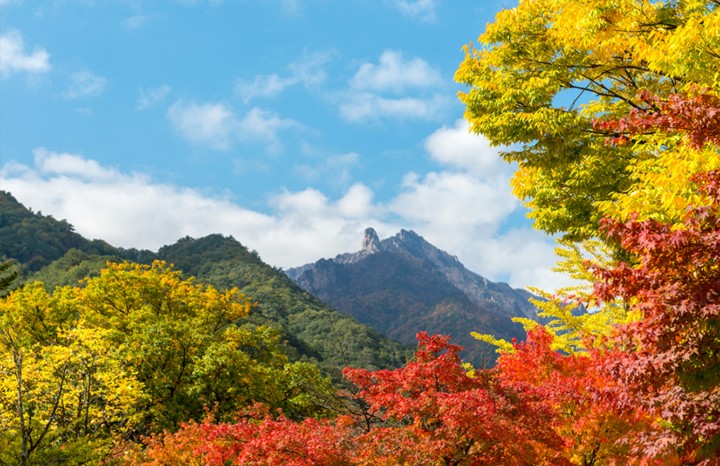 이미지를 클릭하세요